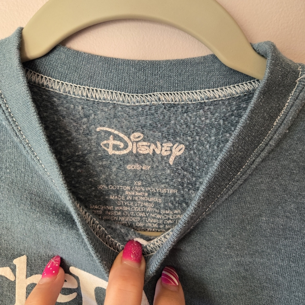 The Fox and the Hound Graphic Crewneck Sweatshirt - Teal - Picture 3 of 4